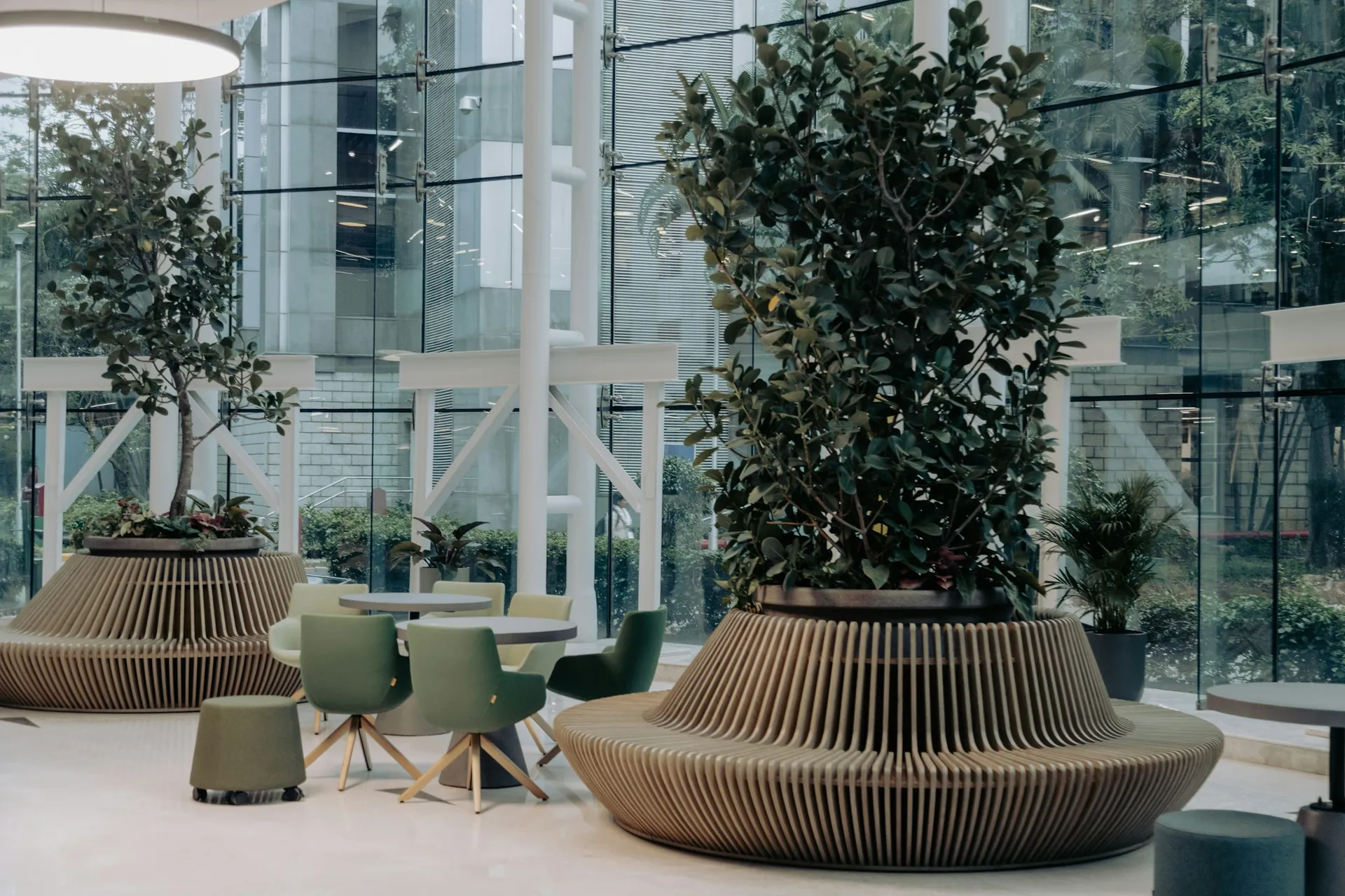 Sunlit modern office lounge with large potted trees and floor-to-ceiling windows