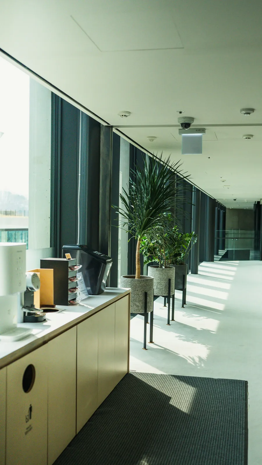 Bright commercial corridor with floor-to-ceiling glass and potted plants